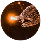 NL_Sept_T-Fusion_Feed Automatisierung